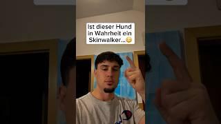 Ist dieser Hund in Wahrheit ein Skinwalker…? | #scary #hund #skinwalker #gruselig #shorts #fypage