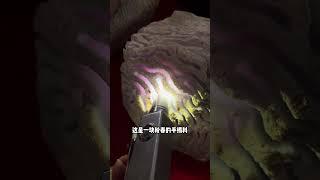 你的翡翠需要来套好的翡翠，源头直供，只要成本价！ #翡翠 #翡翠定制