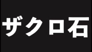 ザクロ石2（泥質片岩）