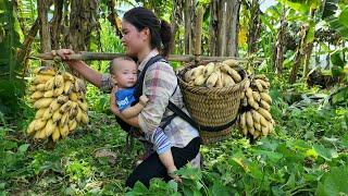 Harvesting Bananas to sell at the market and make Banana cakes for disadvantaged young people