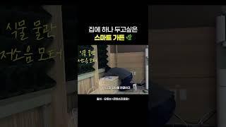 숲세권 만들어준다는 수직정원 스마트가든 