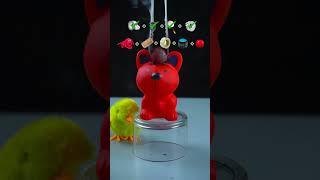 Red hot balls vs aluminium foil + glass + mirror + silver tape + dog toy  what will happen next ?