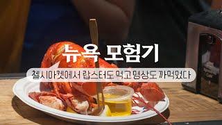 [뉴욕 모험기] 파일럿 EP.01 : 24시간이 모자라ㅣ첼시마켓 랍스터ㅣ더라이드 버스ㅣ원월드 전망대ㅣ뉴욕 브이로그ㅣ뉴욕 분위기