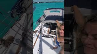 Homemade Water   #shorts #sailing #boatlife #digitalnomad