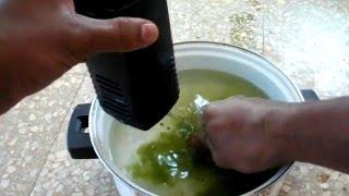 get rid of green algae in your tank