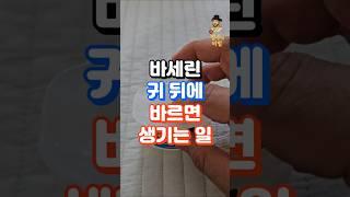귀 뒤에 바세린 바르면 생기는 일 #건강정보 #건강한중년 #중년건강 #건강상식 #건강관리 #지식 #장수의비밀 #건강