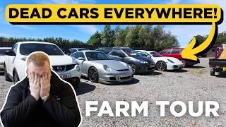I'm Drowning In Cheap Cars! Berrow Motors FARM TOUR
