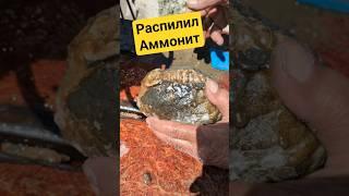 Что внутри АММОНИТА #минералы #камнемания #золото #gold #самоцветы #окаменелости #handmade