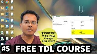 Tally TDL Tutorial 5 - Edit Tally Fields and Forms : Add own details in Tally @LearnWell