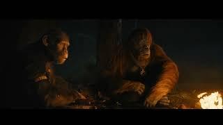 Kingdom of the Planet of the Apes | Campfire Clip