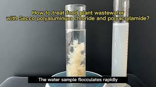 How to treat food plant wastewater with secco polyaluminium chloride and polyacrylamide?