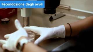 Cliniche di fertilità Riproduzione assistita IVI - Fecondazione in Vitro o FIVET