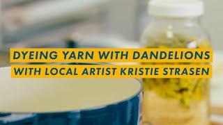 Dandelion yarn dyeing with artist Kristie Strasen