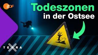 Todeszonen – Warum geht der Ostsee der Sauerstoff aus | Terra X plus