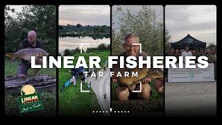 Linear Fisheries – Tar Farm | Carp Fishing | Fishing in Oxfordshire | Tackling Minds