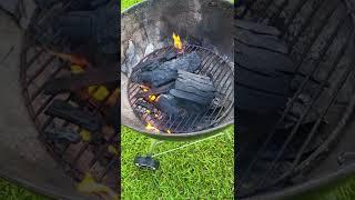 FOGO 17 6 lb  Premium Wood Lump Charcoal