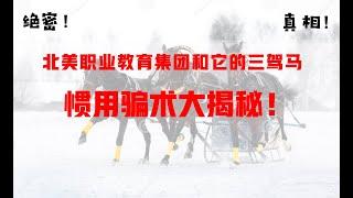 跟考拉喝杯酒违法事实一镜到底说清楚！