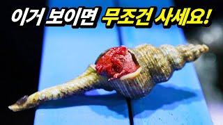 지금 가장 맛있는 겨울 추천 수산물 BEST!(남해편)