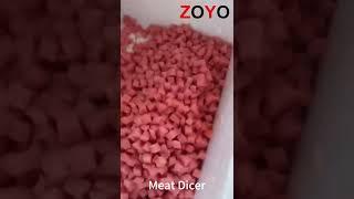 Look! Good Dicing Cutting Result of the Meat Dicer with Belt Conveyor