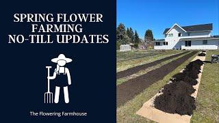 Spring No Till Flower Farming Updates From The Flowering Farmhouse