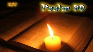 (19) Psalm 80 - Holy Bible (KJV)