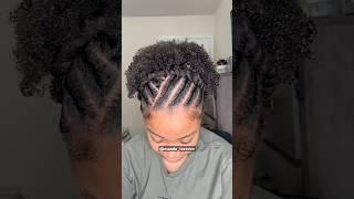 Easy flat twist style for short 4C hair