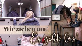 Capi & Holly ziehen um! | Vlog | 3/4 | BinieBo