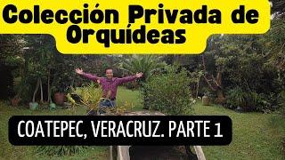 Visita a colección privada de orquídeas en Coatepec, Veracruz, Parte 1. #orquideas #orchids