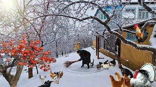 Snow Falls in Azerbaijan Mountain Village. Best Recipes in 2-Hour Video.