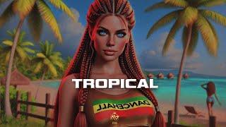 "Tropical Shatta" ️ Dancehall Shatta Instrumental 2024