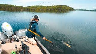 Jay Vs Clay Vs Aaron (Uncut Angling) - EP.5 - BIGGEST WALLEYE CHALLENGE