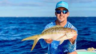 We Air Fried a Yellowtail Snapper! Catch and Cook in the Florida Keys