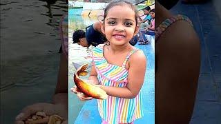 Golu molu pihu delhi park pepsi challenge #golumolupihu #viralvlogs #vlogs #viralvideo