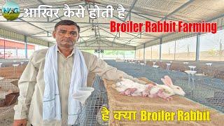 BROILER RABBIT FARMING IN INDIA - Natural Agro Green