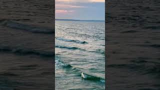 Binz la iruka oru azhagana beach️ #germany #inselrügen #beachvibe #sunsetlovers