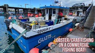 UK Commercial Fishing - Lobster And Crab Potting - Huge Lobsters Big Crabs! -  Sea Fishing Video