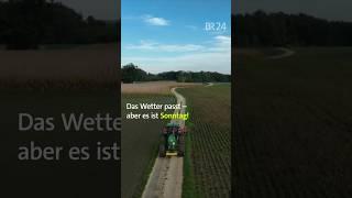 Sonntagsarbeit am Acker #shorts #landwirtschaft