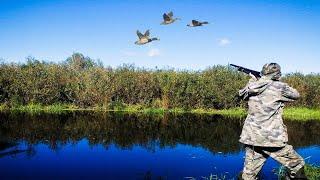 ОХОТА С ПОДХОДА НА УТКУ с немецким ягдтерьером. Новые чоки