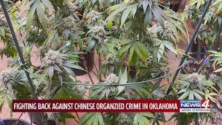 Fighting back against Chinese organized crime in Oklahoma