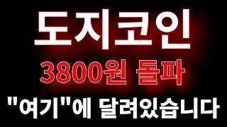 [도지코인 전망]3800원 돌파 모두 여기에 달려있습니다