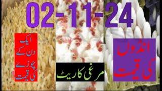 02-11-2024 broiler rate| Today egg rate |Today chicks price|Today poultry rate| today chicken rate