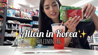 Allein in Korea für einen Tag