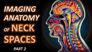 Imaging Anatomy of Neck Spaces (part 2)