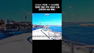 (9,500) 1억2천 → 9,500만원 "동해안 힐링 주택! 영암리 소형 단독주택 바로 매매!! #포항부동산 #바닷가주택매매 #포항소형주택