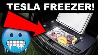 This Hidden Fridge for you Tesla is COOL.. Literally!