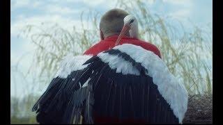 Реклама МТС ТВ - Аист