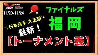 【トーナメント表②】中国撃破で日本選手活躍中！最新トーナメント表で対戦相手をチェック！WTTファイナルズ福岡2024(11/21更新)