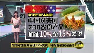 如期对加墨商品征25%关税   特朗普引爆贸易战 | 八点最热报 04/03/2025