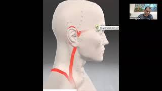 Youn Source Point & Luo Connecting Points from 3 months Wellness Acupuncturist course by Dr Hemant