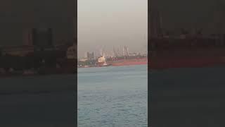 Awesome Out side Huge Ship & Seagulls View from M2M Ferry #travel #entertainment #ferry #nature